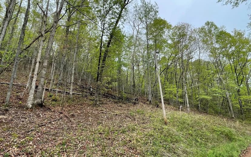 Lots & Land-Other in Hayesville