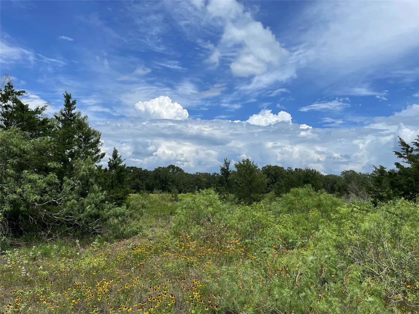3.22 Acres of Land for Sale in Giddings, Texas - Giddings, Texas, 78942