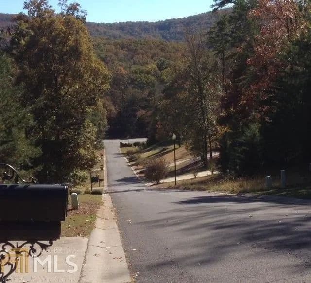 Lots & Land-Other in Summerville - Summerville, Georgia, 30747