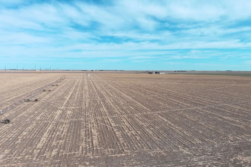 Northwest Yuma County Pivot Irrigated Land Auction