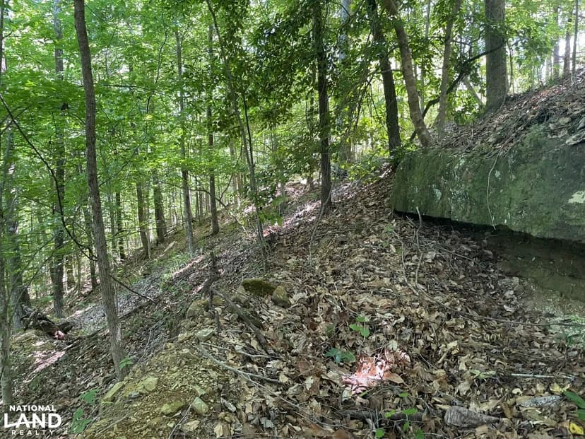 Pickett Creek Hunting and Timber Investment Property
