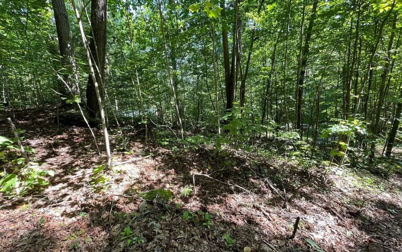 Lots & Land-Other in Hiawassee
