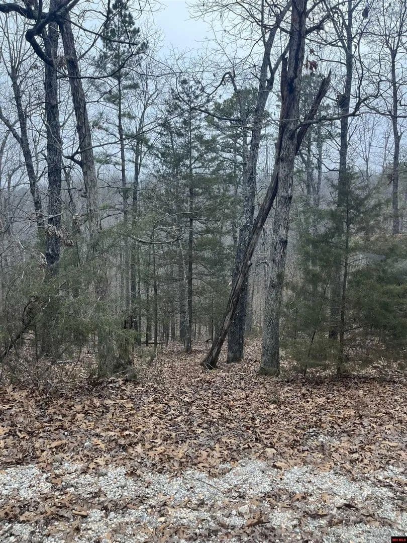 Lots & Land-Other in Yellville