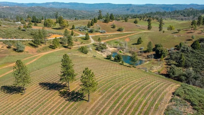 Tailem Bend Ranch and Vineyard