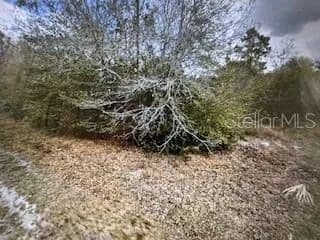 Vacant Land in Punta Gorda - Punta Gorda, Florida, 33955