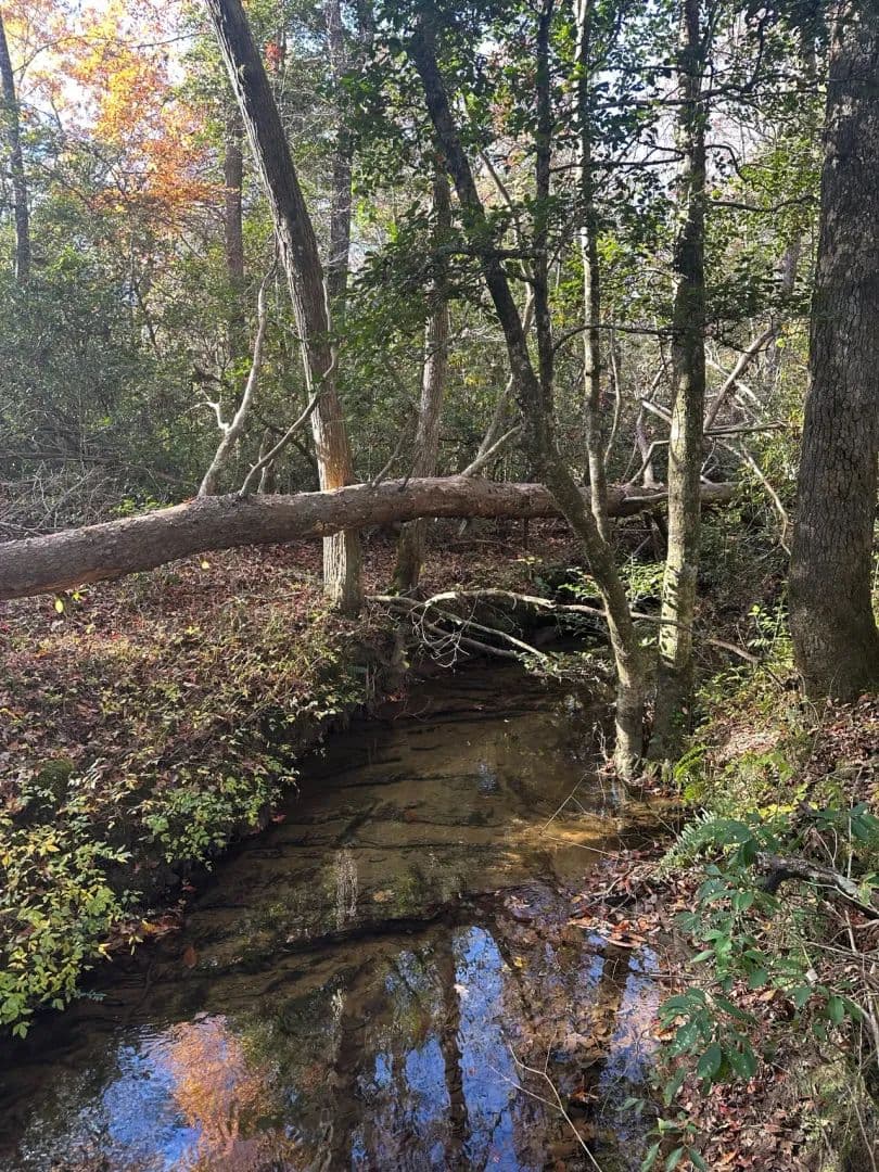 5+/-acres Unrestricted with Year-Round Creek