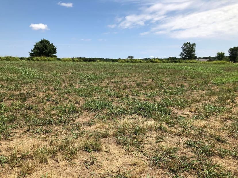 Vacant Land in Republic