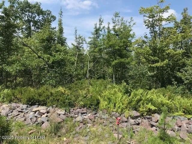 Lots & Land-Other in Hazle Twp - Pennsylvania, 18202