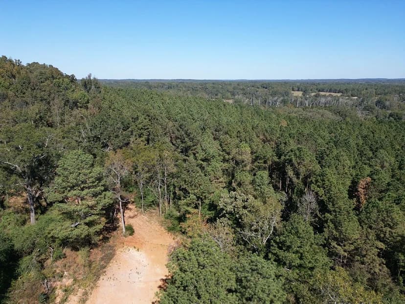 35+/- Acres Pickens County, AL