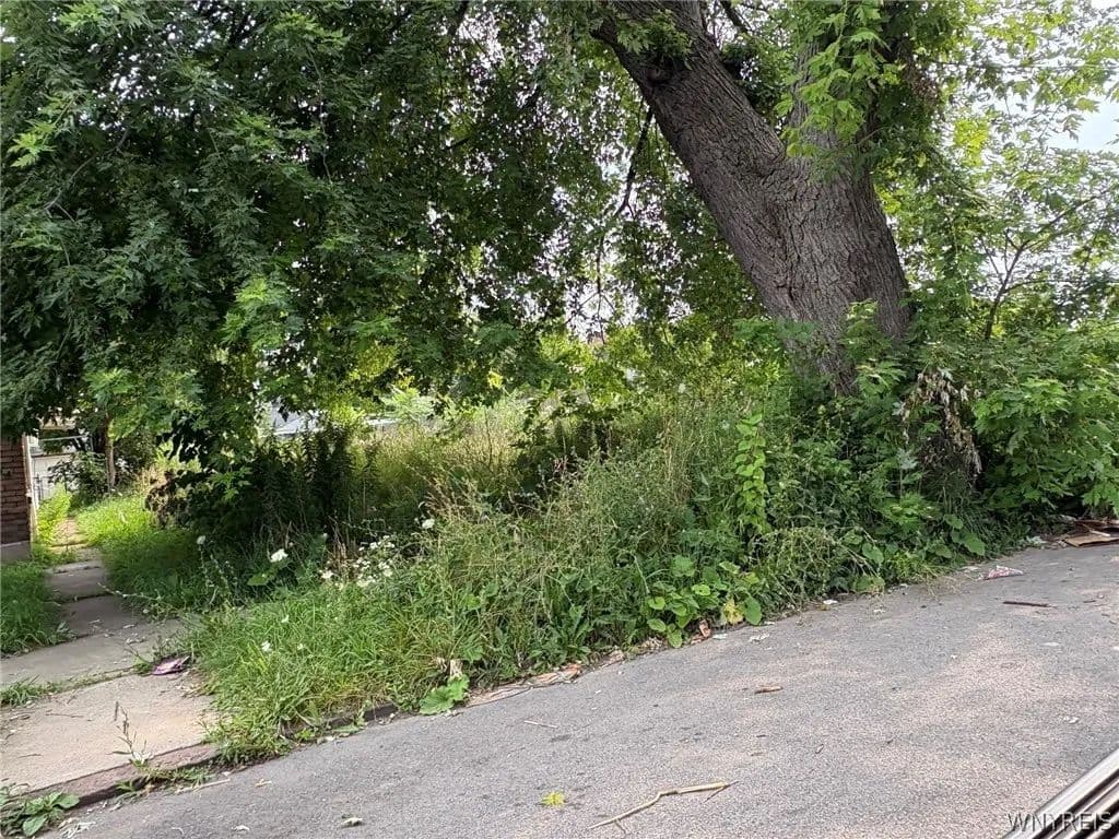Vacant Land in Niagara Falls - Niagara Falls, New York, 14301