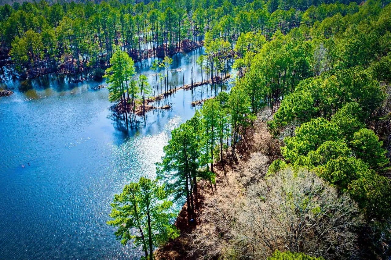 Bowie County, TX - 468 ± Acres - Texarkana, Texas, 75501
