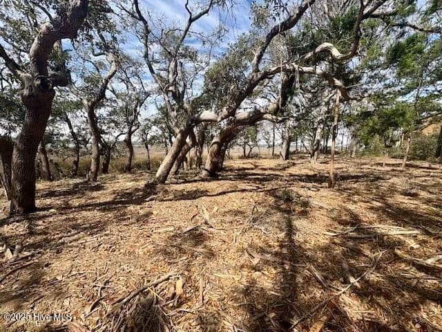 Vacant Land in Supply - Supply, North Carolina, 28462