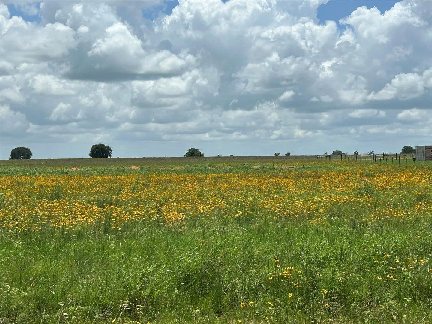 2 Acres of Land for Sale in Sealy, Texas - Sealy, Texas, 77474