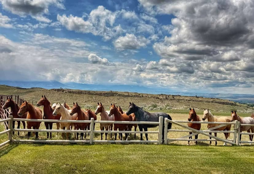 Cherry Springs Ranch