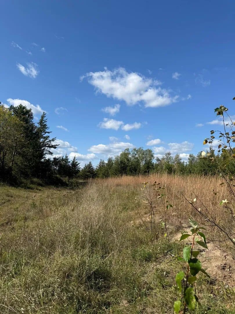 Lots & Land-Other in Bemidji