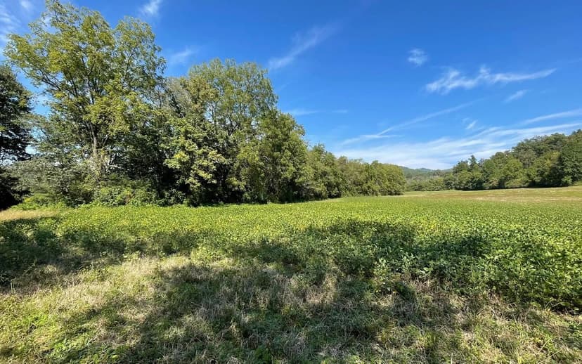 Lots & Land-Other in Hayesville