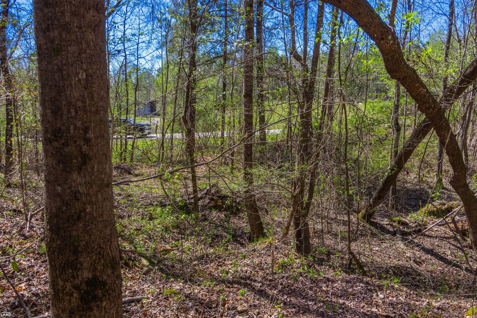 Sealy Ann Mountain Road Homesite - Adger, Alabama, 35006