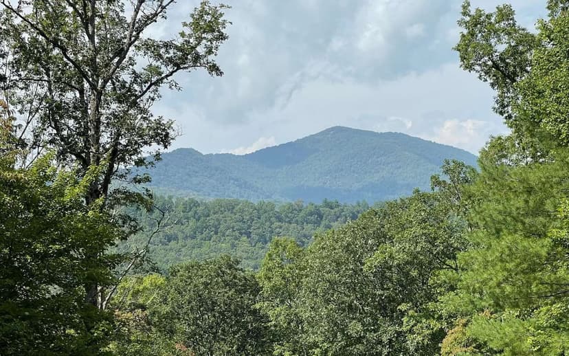 Lots & Land-Other in Hiawassee