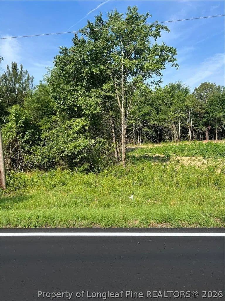Lots & Land-Other in Laurinburg - Laurinburg, North Carolina, 28352