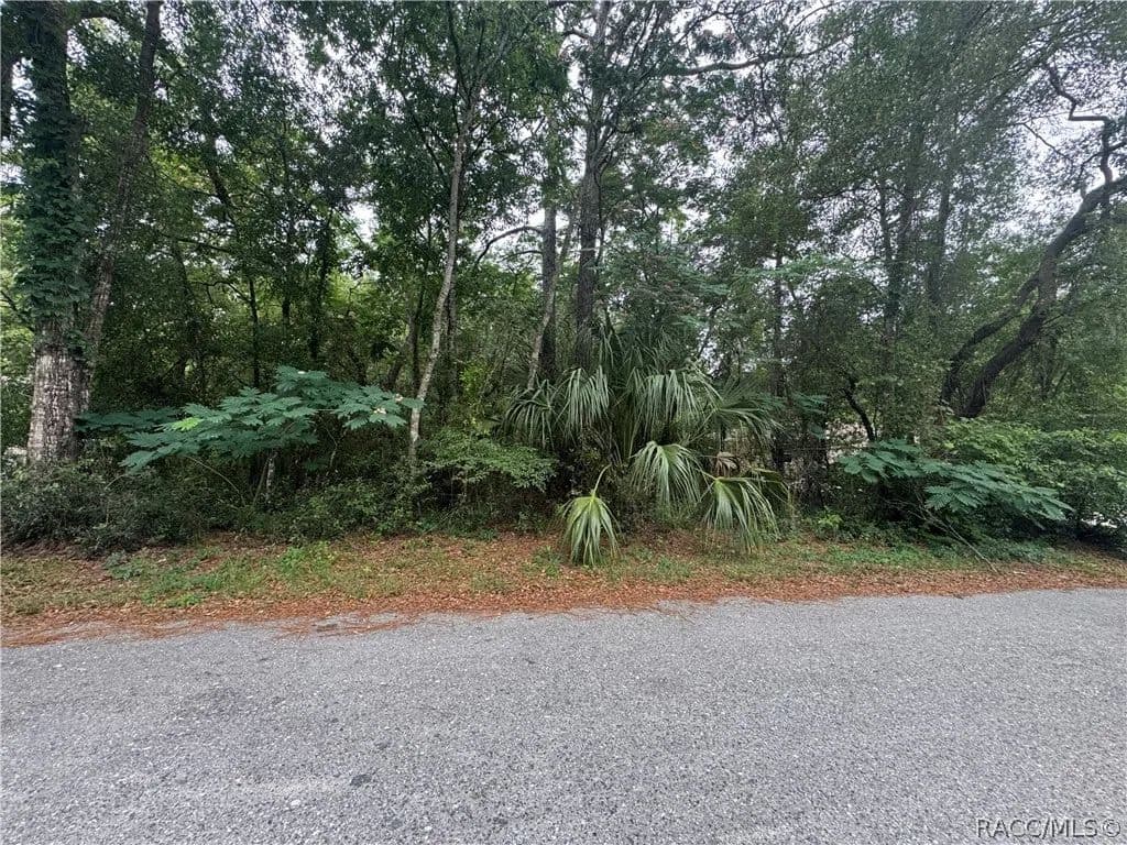 Property from 3462 E Michael Street - KW - Inverness, Florida, 34453