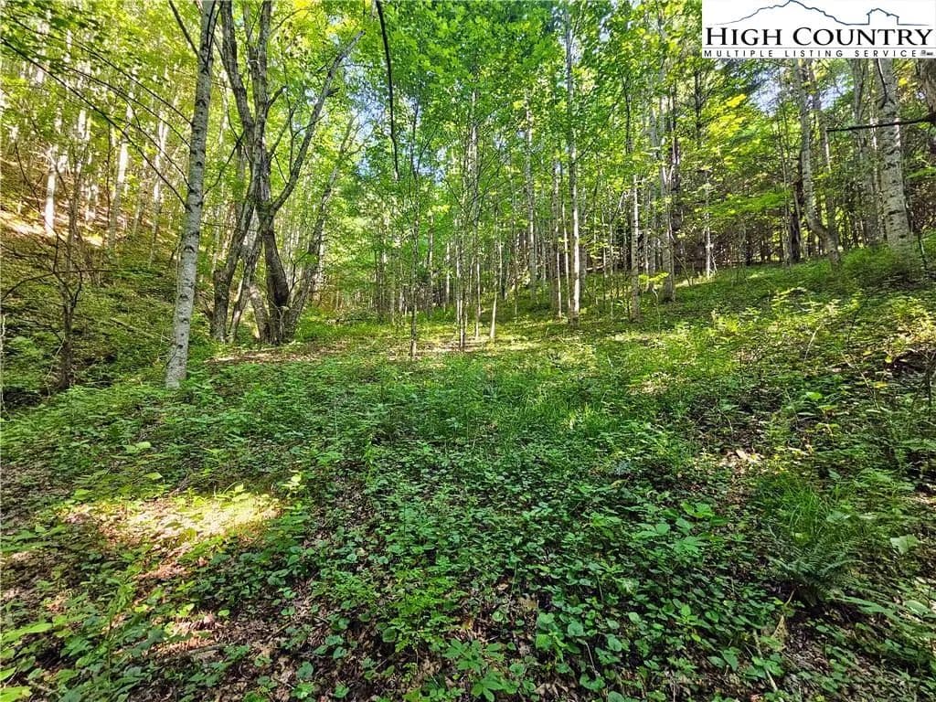 Vacant Land (10+ Acres) in Lansing - Lansing, North Carolina, 28643