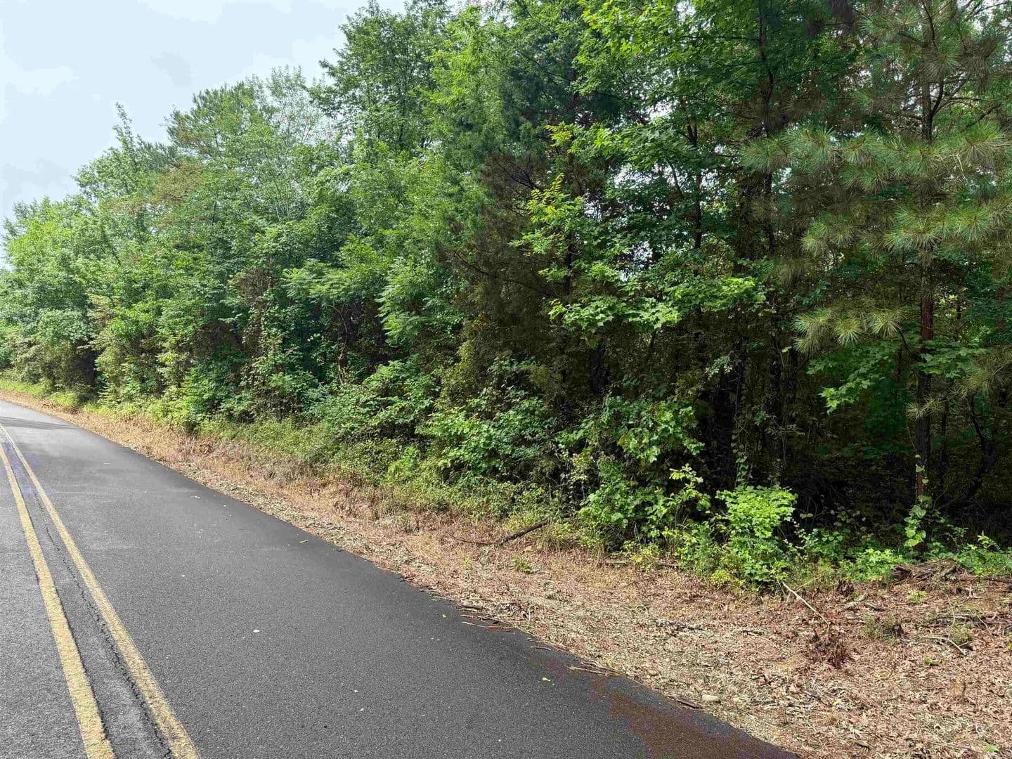 Lots & Land-Other in Amity - Amity, Arkansas, 71921