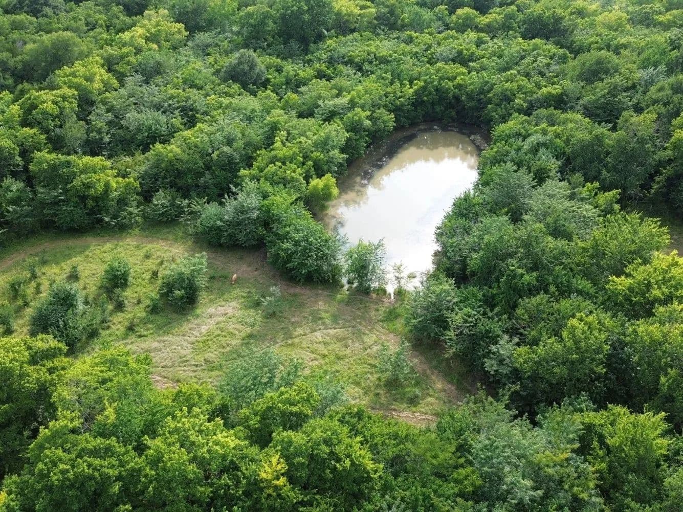 40 Acres of Land for Sale in Campbell, TX - Campbell, Texas, 75422