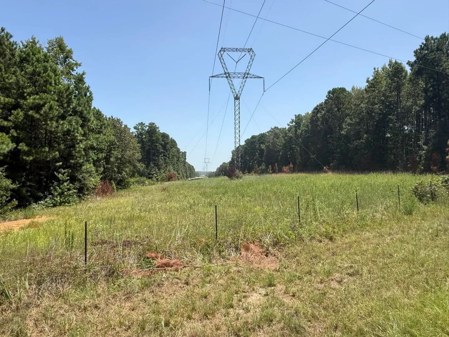 Vacant Land in Diana - Diana, Texas, 75640
