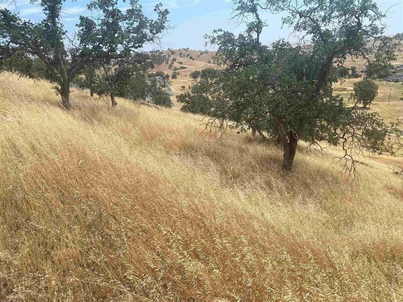 Lots & Land-Other in La Grange