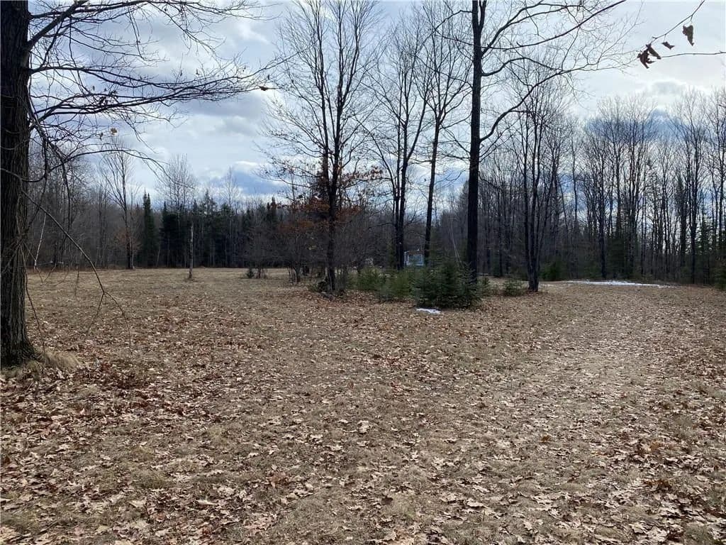 Vacant Land in Ogema - Ogema, Wisconsin, 54459