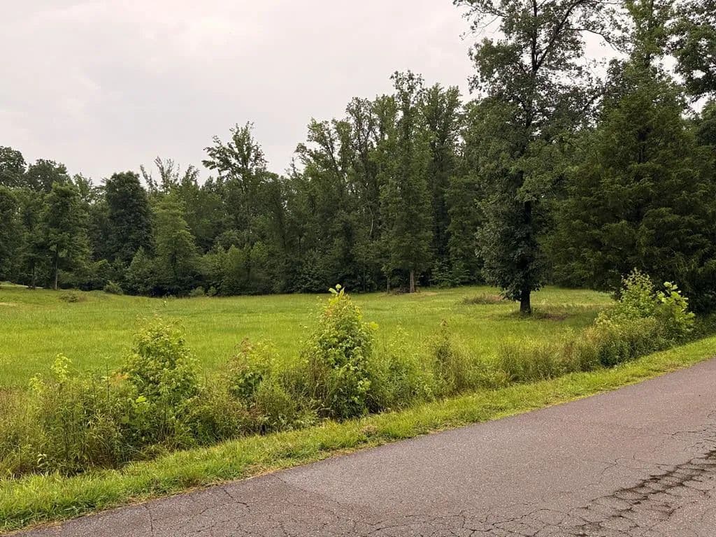 Property from 0 Stone Creek Rd - KW - Paris, Tennessee, 38242