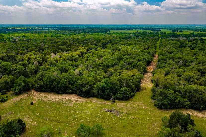 27 Acres in Milam County