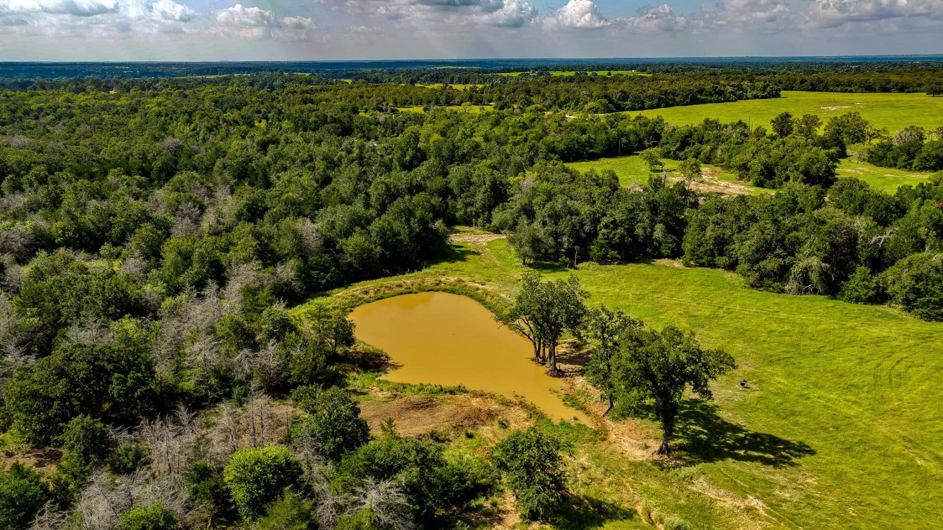 Rolling Oaks Ranch - Rockdale, Texas, 76567