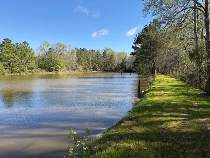 37.5 AC Perdido, Baldwin County