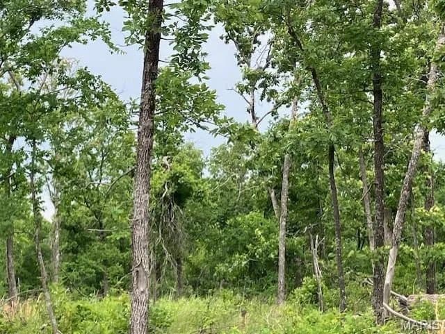 Property from 233 Madison CR 410 - KW - Fredericktown, Missouri, 63645
