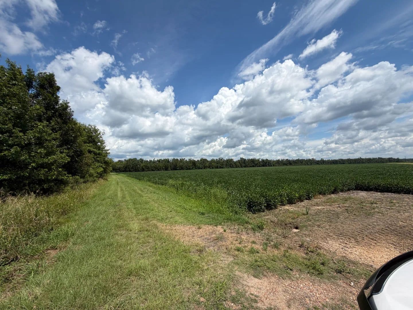 28 Acres in Morehouse Parish, LA  - Oak Ridge, Louisiana, 71264