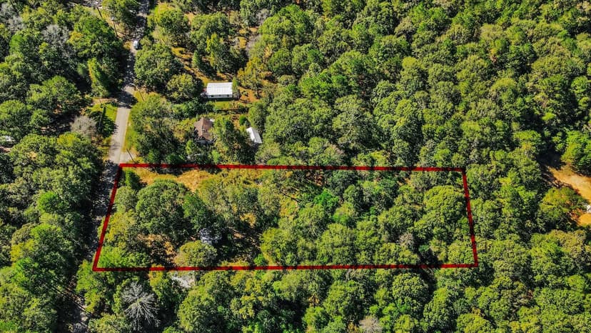 Lots & Land-Other in Shepherd