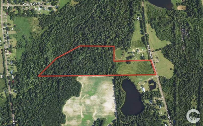 29+/- Recreation/Residential Land in Houston County