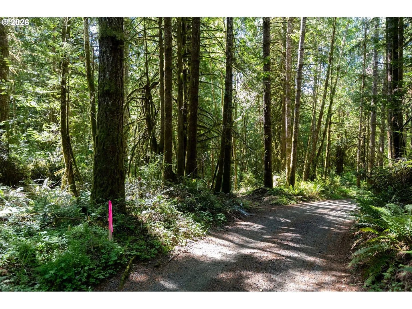 10 Acres of Land for Sale in Shelton, WA - Shelton, Washington, 98584