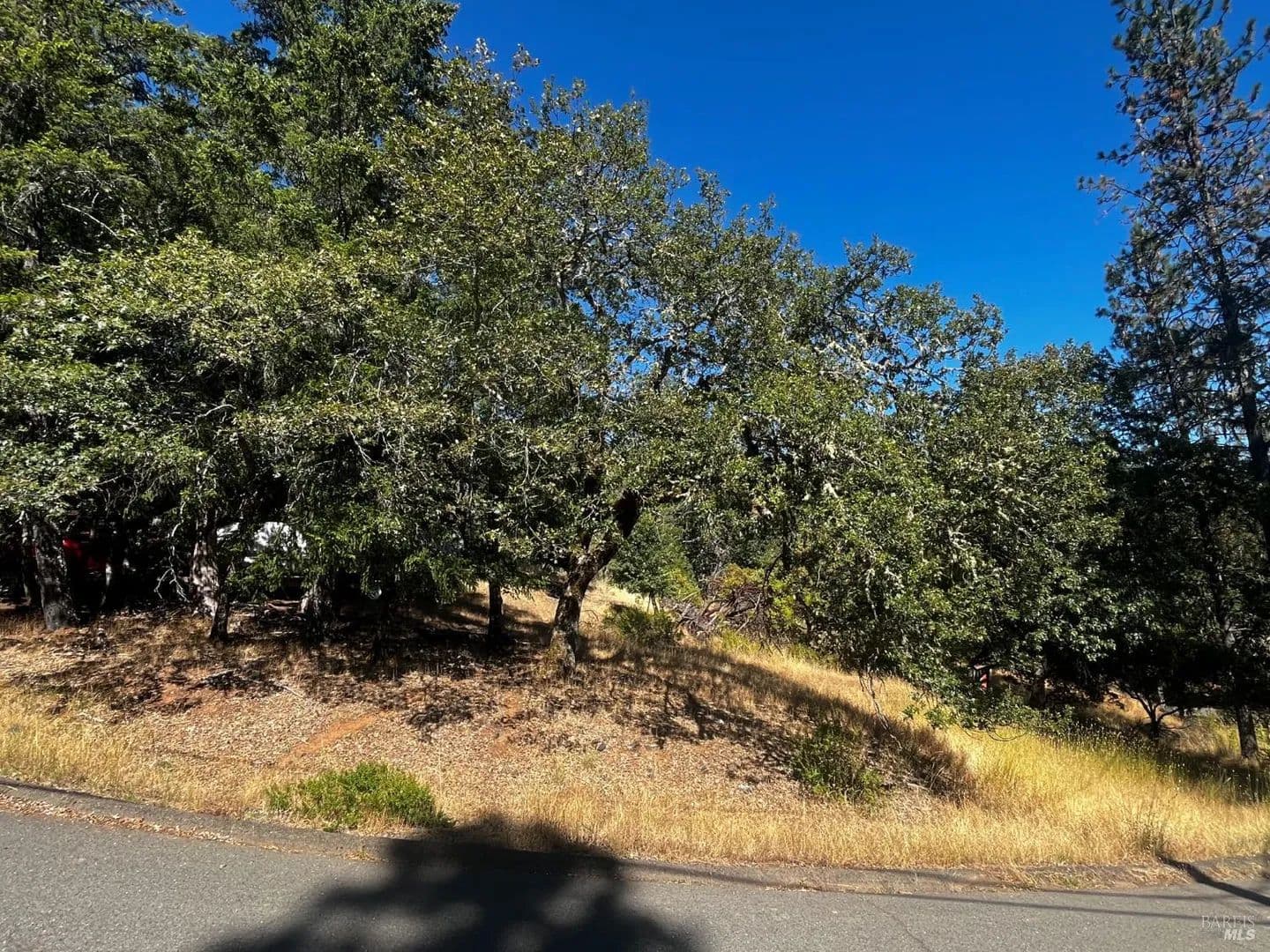 Lots & Land-Other in Willits - Willits, California, 95490