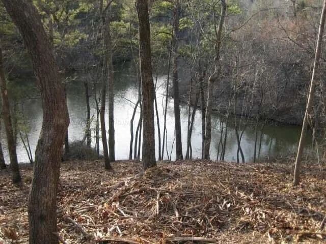 Vacant Land in Parrish