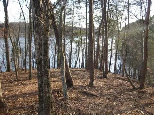 Vacant Land in Parrish