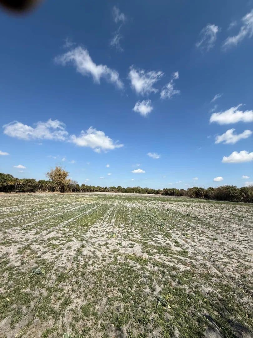 Vacant Land in Indiantown