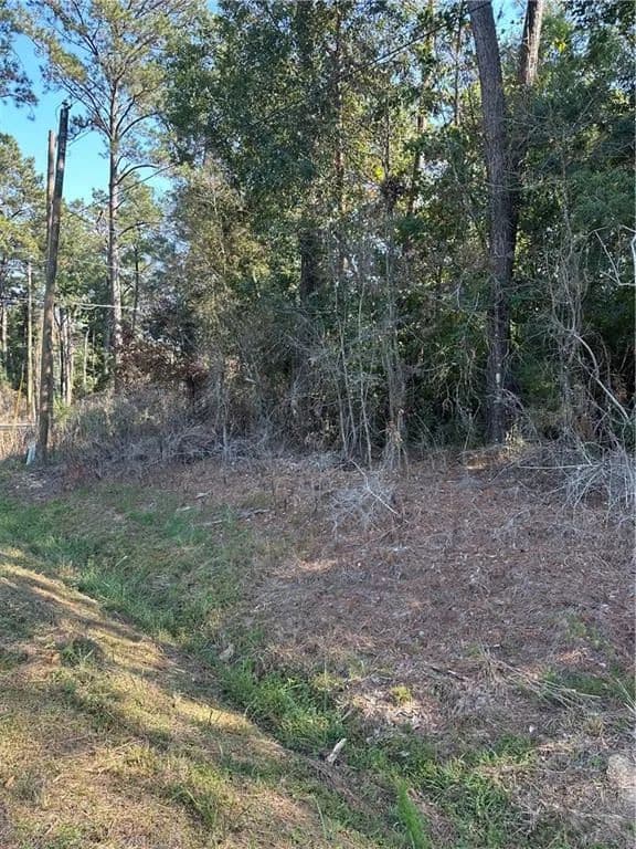 Property from 0 CAMILE Lane - KW