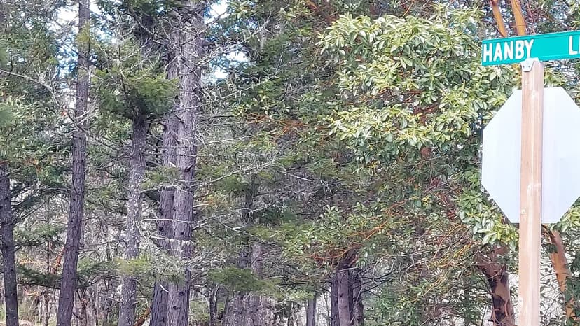 Lots & Land-Other in Cave Junction