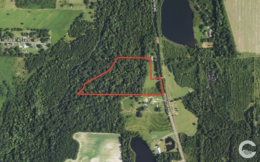 17+/- Acres for your Dream Home Site Alabama