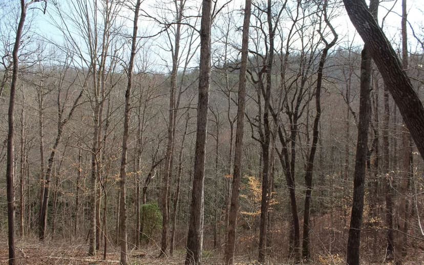 Lots & Land-Other in Hiawassee