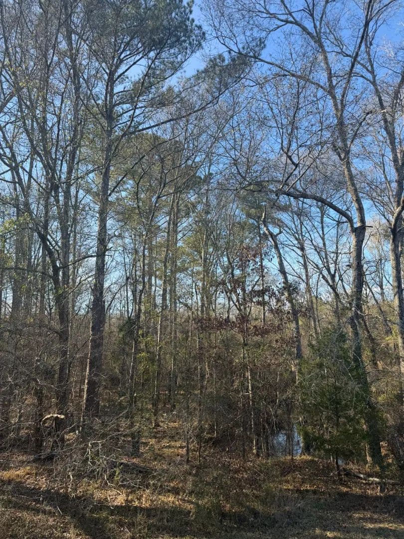 65.61 Acres Rankin County, MS 