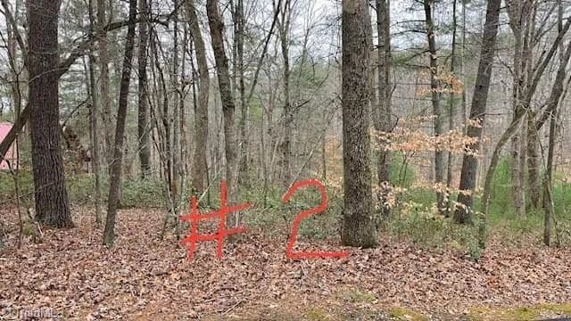 Vacant Land in Stuart - Stuart, Virginia, 24171