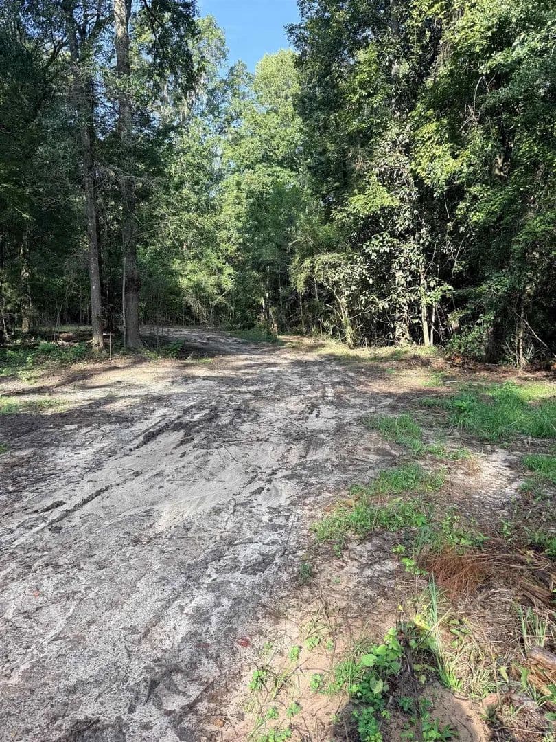 Lots & Land-Other in Havana - Havana, Florida, 32333